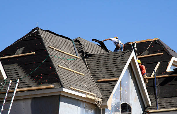 Best Metal Roofing Contractor  in Coyne Center, IL