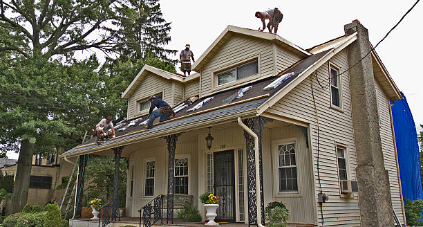Best Storm Damage Roof Repair  in Coyne Center, IL